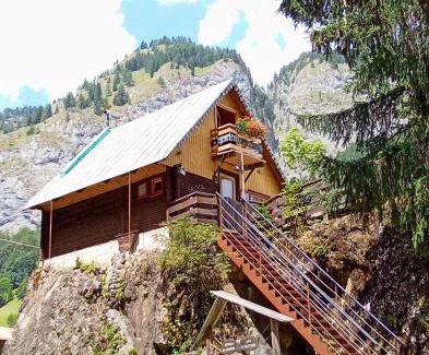 Rocca Pietore House | Il nido (Cica)