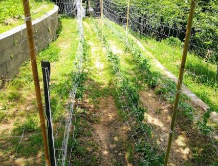 Castellamonte House | Il Pettirosso