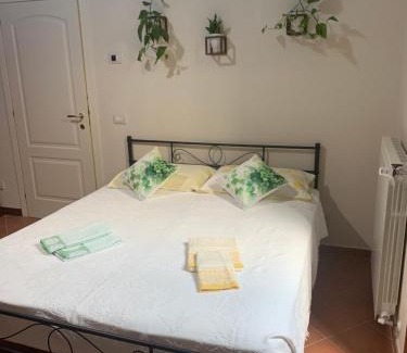 Twist House | Il Quadrifoglio Nascosto