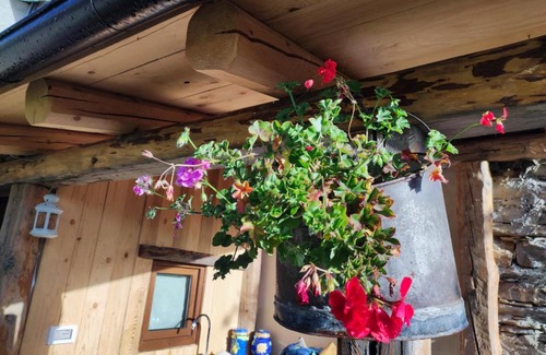 Monesi House | Il teccio di Sandro