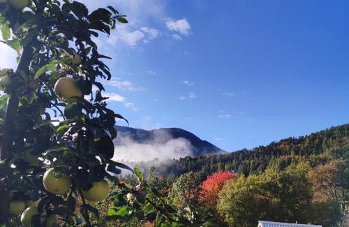 Monesi House | Il teccio di Sandro