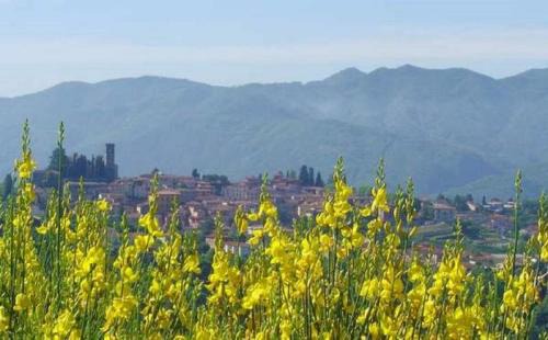Mologno House | Il Trebbio