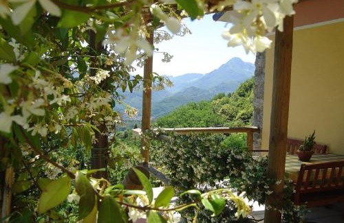 Mologno House | Il Trebbio