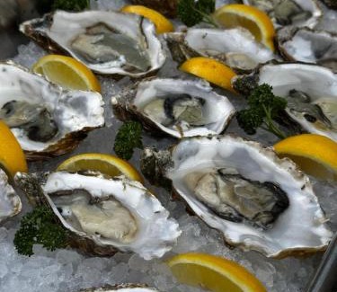 Ettingen Apartment | Im grünen aber in 20min in Basel