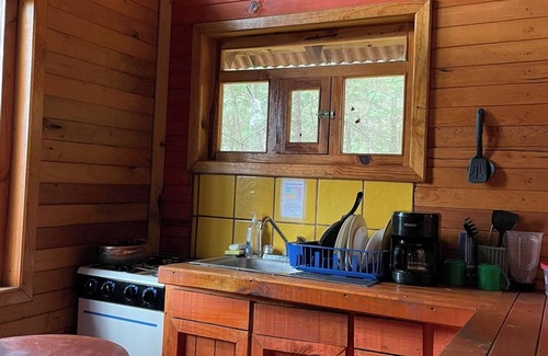 Mazamitla Cabin | Immersed in the Mazamitla Forest.