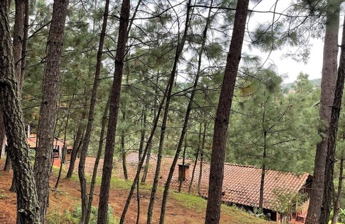Mazamitla Cabin | Immersed in the Mazamitla Forest.