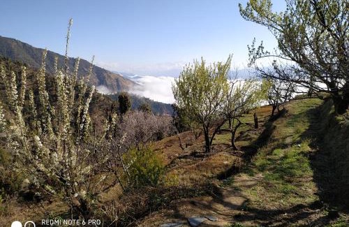Kanatal Resort | IN APPLE ESTATE KANATAL - Himalayan View Resort with Courteous Staff