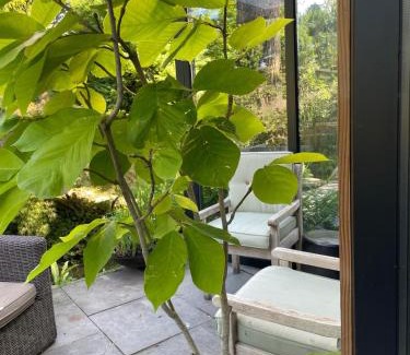Municipality of Neder-Betuwe Apartment | In Eldik