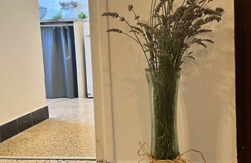 Figarella Apartment | In the heart of the village of Saint-Florent near the port