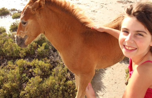 Arles Cottage | In the heart of the Natural Park, a Mas Camarguais, with herds of horses and bulls