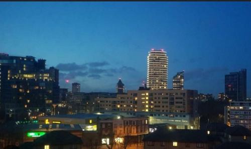 Latchmere Apartment | Incredible 3BR Battersea Flat & Spectacular View