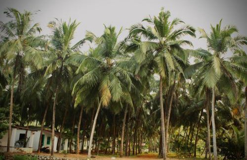 Patnem House | India Yoga Village