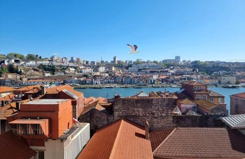 Sao Nicolau Apartment | Infante Douro View