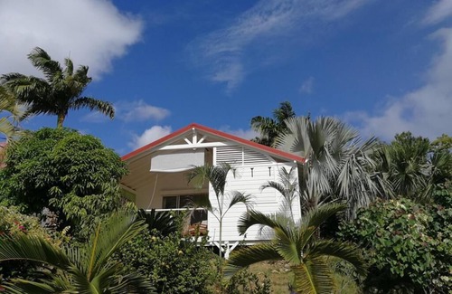 Bouillante House | Infiniti Blue (Hibiscus)