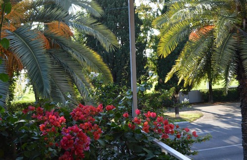 Adler City Centre Hotel | Inn Anzhelika