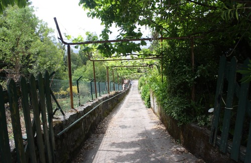 Santo Tirso Other | Integrated space on agricultural property, with private pool and tennis court