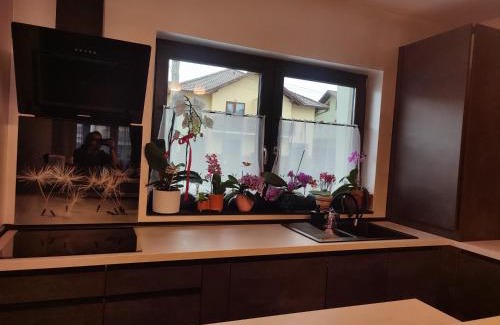 Cisnadie Villa | IONE & B Residance