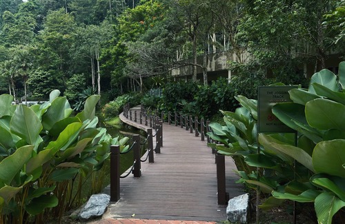 Hulu Kinta Condo | Ipoh The Haven Lakeside Apt Mountain View 3-7 pax