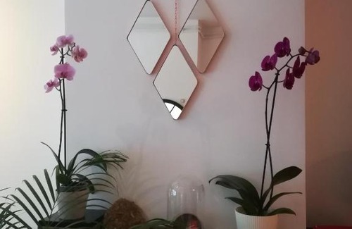 University District Apartment | Irina&Gianpaolo