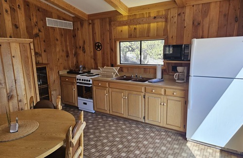 Nathrop Cabin | Iron City Cabin-Cozy Cabin with Hot Spring Fed Pool, Perfect for Families & Pets