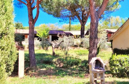 Guardistallo Apartment | ISA-Residence with swimming pool in Guardistallo surrounded by greenery