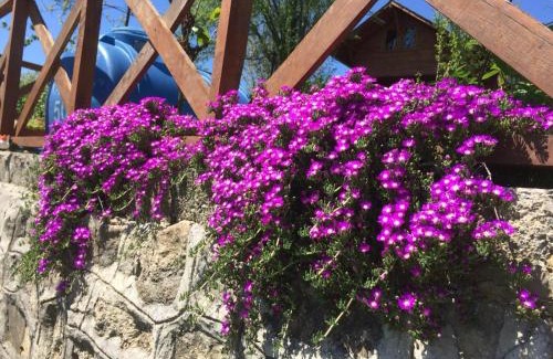 Fatsa Villa | ISABELLA Kırsal Yaşam Evi