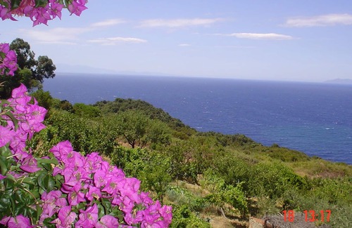 Zanca Apartment | Island of Elba in nature, unforgettable sunsets.