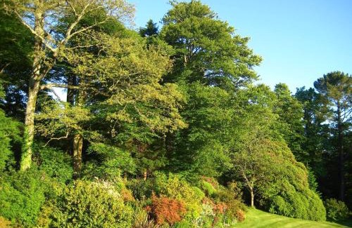 Lostwithiel House | Isolda's - Ukc3905