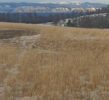 Khuzhir House | Ivolga