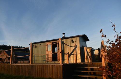 Rhayader House | Ivy's Way