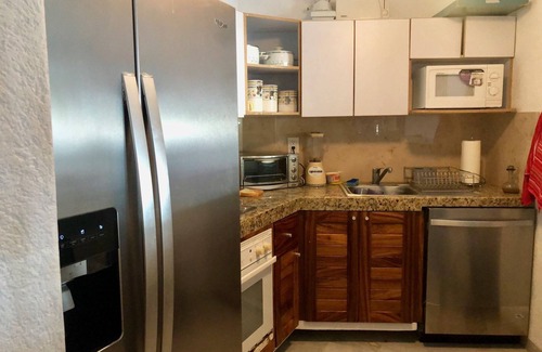 Ixtapa Condo | Ixtapa Zihuatanejo: Ocean View Condo