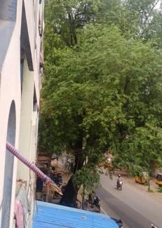 Arappalayam Hotel | J Rooms&Dormentary