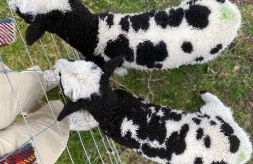 Glenfarg House | Jacob the NestPod