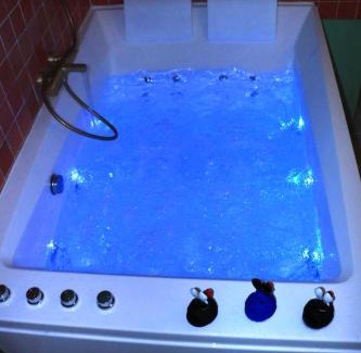 La Chapelle-sur-Loire House | Jacuzzi et Vue sur Loire - Maison d'hôtes L'Odyssée