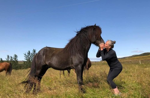 Hrunamannahreppur House | Jaðar - The Old House