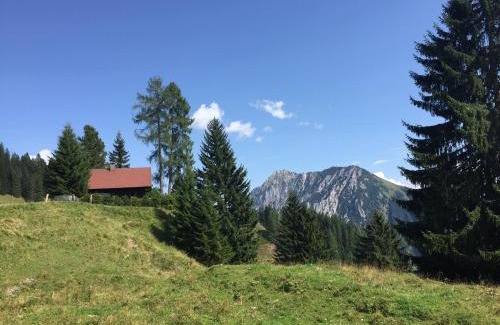 Spital am Pyhrn House | Jagdhütte Gammeringalm