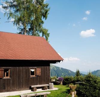 Spital am Pyhrn House | Jagdhütte Gammeringalm