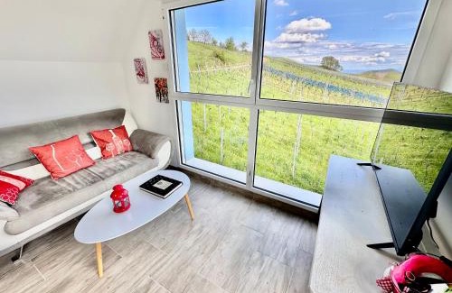 Reichsfeld Villa | JANÉA Deep Red House