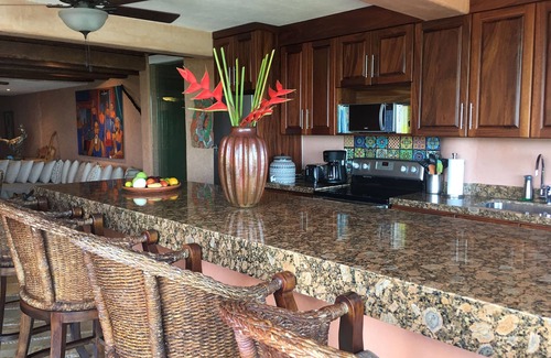 Ixtapa - Zihuatanejo Condo | January 24-February 7, 2026 now open for your visit!