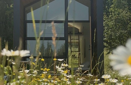 Lakeside House | Japandi Tinny Home Nestled in the Montana Mountainside.