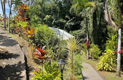 Circuit 1C1 House | Jardin Secret