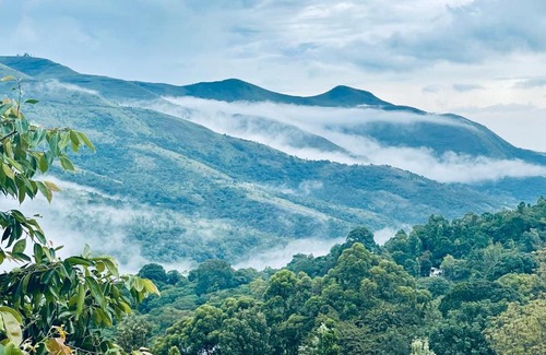 Kodaikanal Bed & Breakfast | Jeyar Cottage
