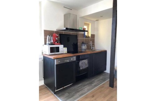 Schiltigheim Apartment | JO 1h45 from PARIS by TGV - LE TRADY Picturesque luxury apartment