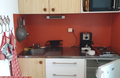 Le Praz de Lys Apartment | Joli Studio Cabine + Garage Mouflon 2 Praz de Lys