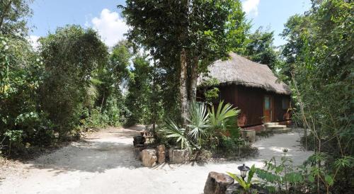 Leona Vicario Hotel | Jolie Jungle Eco Hotel