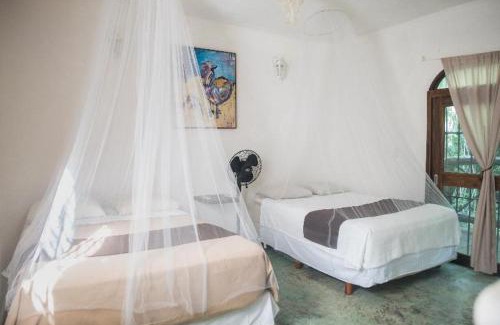 Leona Vicario Hotel | Jolie Jungle Eco Hotel