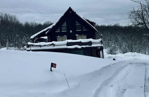 Ellicottville Cabin | JTs Landing-3 bed 2 bath Cabin 7 min to EVL Family Friendly/Fire Pit/Grill