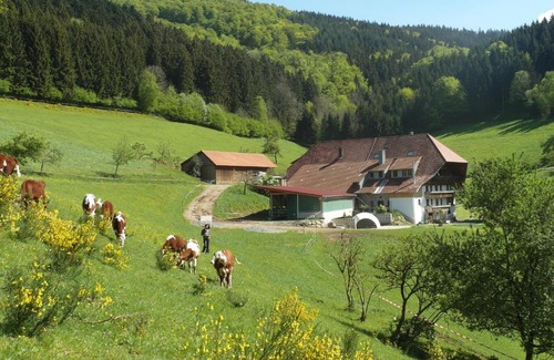 Muehlenbach House | Jungbauernhof - Ferienwohnung Speicher