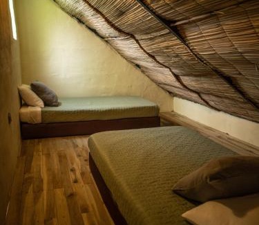 Villeta Hotel | Jungla EcoLuxury Resort