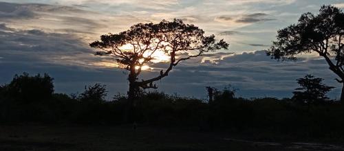 Yodakandiya House | Jungle Cabin - Bundala